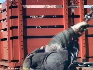 The Mysterious Subterranean Secret U.S. Military Base (720p)