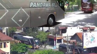 BUS MEWAH Pandawa 87 Premium Bus in Action