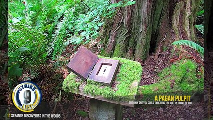 Unbelievable Forest Discoveries