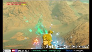 SPEED Paragliding VS SLINGSHOT! Whats Better? in Zelda Breath of the Wild