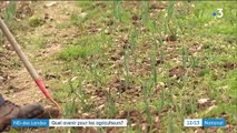 Notre-Dame-des-Landes : quel avenir pour les agriculteurs ?