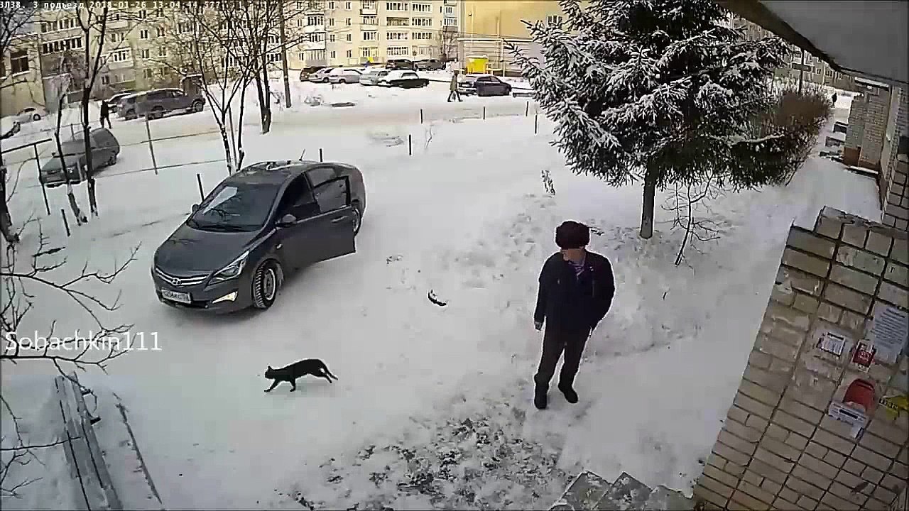 crees que es facil conducir en la nieve mira esto y lo sabras