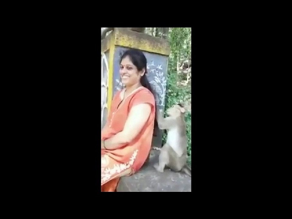 Funny Indian Animal - Viral Indian Video - Desi Viral