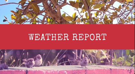 WEATHER: Latest local weather update