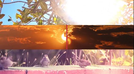 WEATHER: Latest local weather update