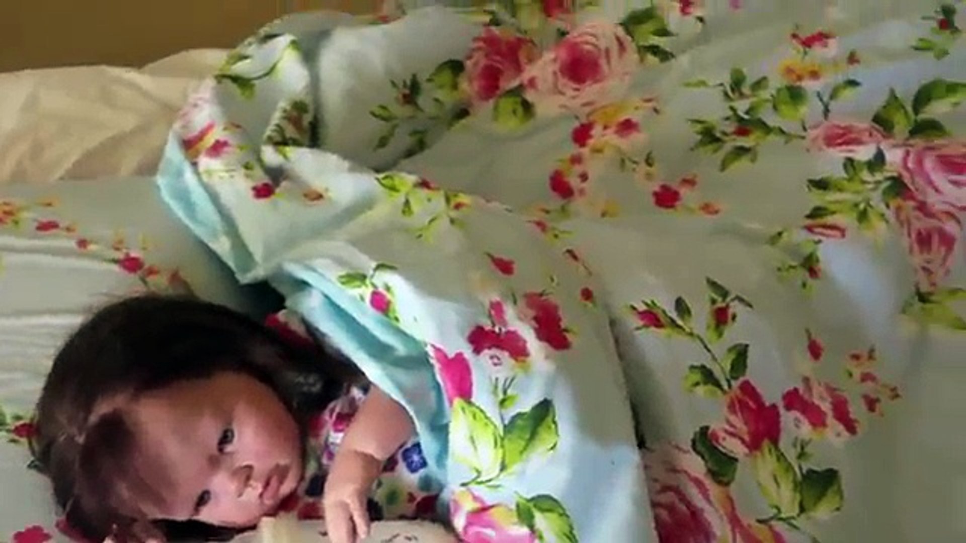 little reborn