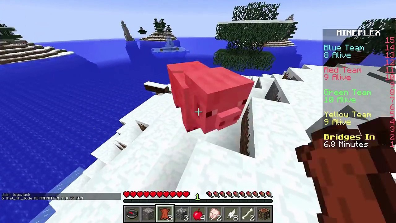 Minecraft Bridges Subscriber Party!