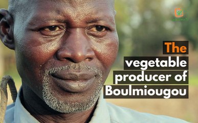 Burkina Faso: The vegetable producer of Boulmiougou