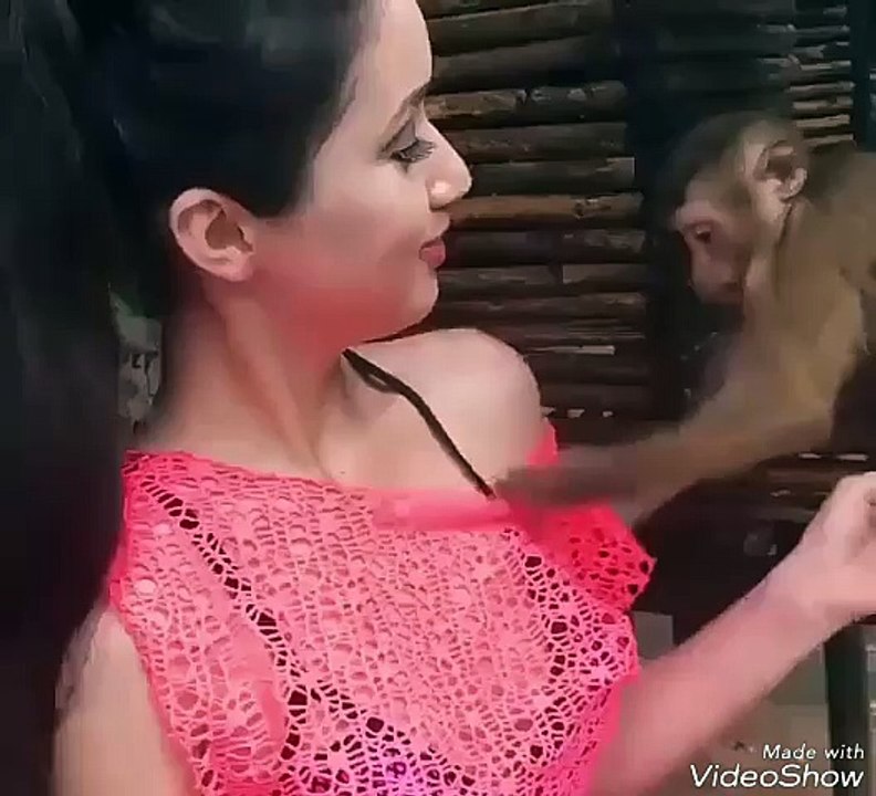 monkey take off the girl bra