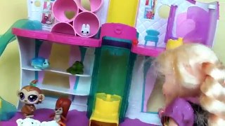 Elsa and Anna Toddlers Adopt Cute New Puppy Kids Pet Store Adventure Frozen LPS Dog Toys In Action