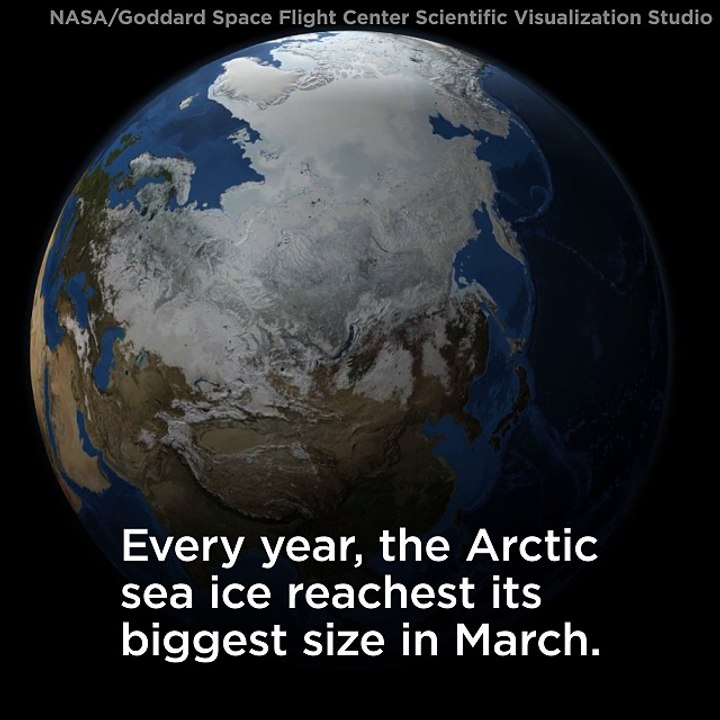 Arctic Sea Ice Time-Lapse