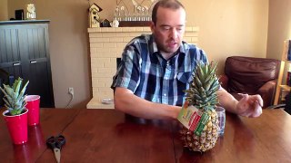 How to grow a pineapple from the pineapple you just ate.