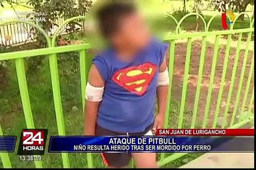 Perro pitbull deja severamente herido a niño en San Juan de Lurigancho