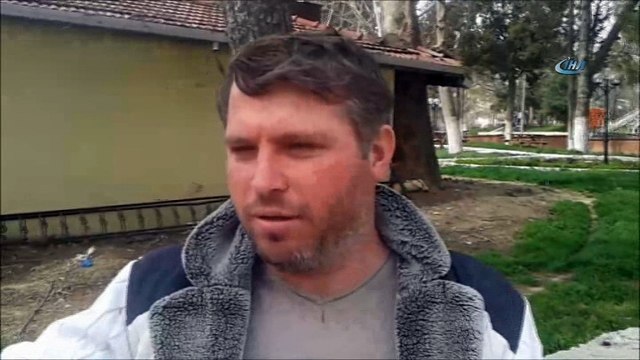 Asırlık çınar otomobilin üzerine devrildi