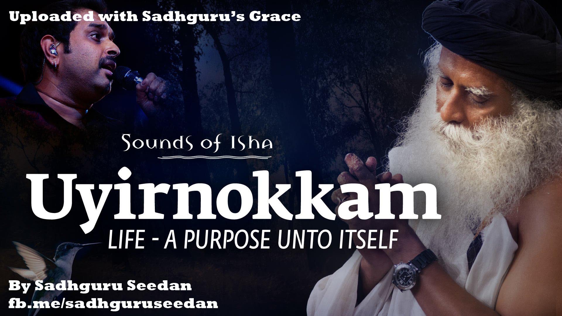 Featured image of post Sadhguru Sounds Of Isha
