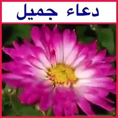 دعاء جميل جدا