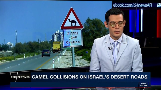 PERSPECTIVES | Bill to microchip camels to prevent accidents | Monday, March 19th 2018