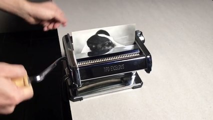 Quadrupler une photo dun chien avec une machine à pâtes