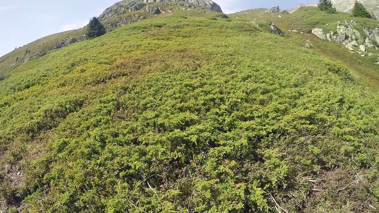 Randonnée Lac de l'Ane (Night Calls)
