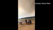 An Australian town's residents flee via the beach as a bushfire sweeps in