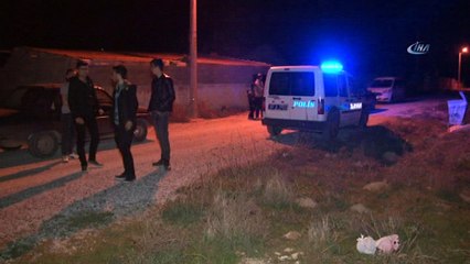 Hobi bahçesinde beslediği arılar sonu oldu... Arıların saldırısına uğrayan şahıs hayatını kaybetti