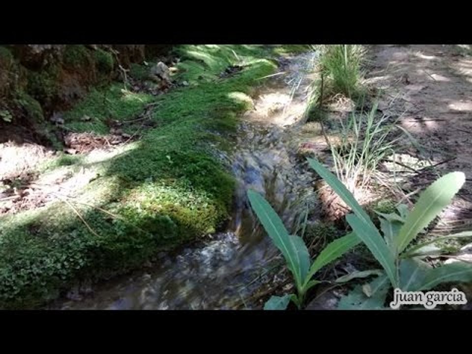 musica relajante con sonidos de agua - relaxing music with sounds of water -