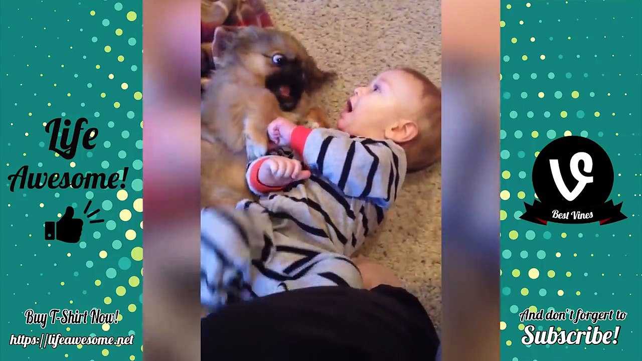 TRY NOT TO LAUGH - Funny Babies Compilation 2018 | Funny Kids Fails Videos 2018