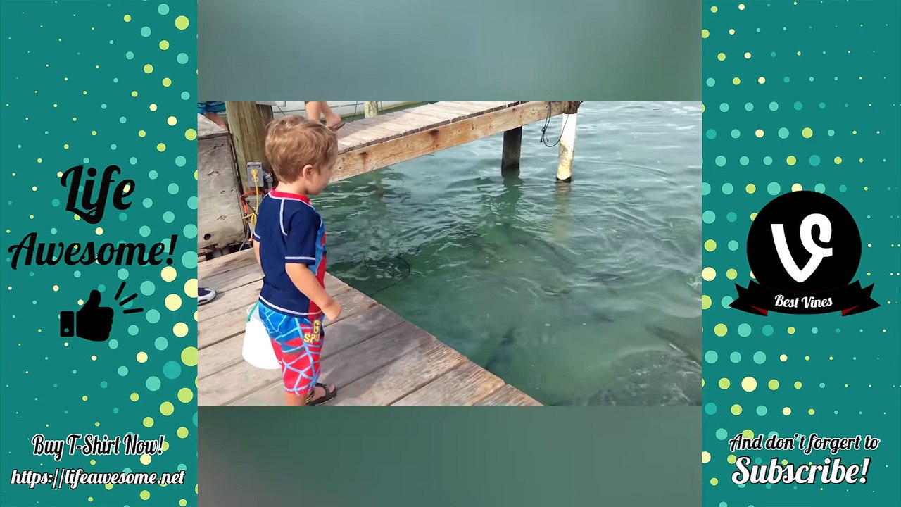 TRY NOT TO LAUGH or GRIN  Funny Kids Fails Compilation 2017   Best Funny Kids vs Animals Videos 2017