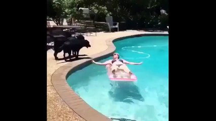 He just wanted to stay close.