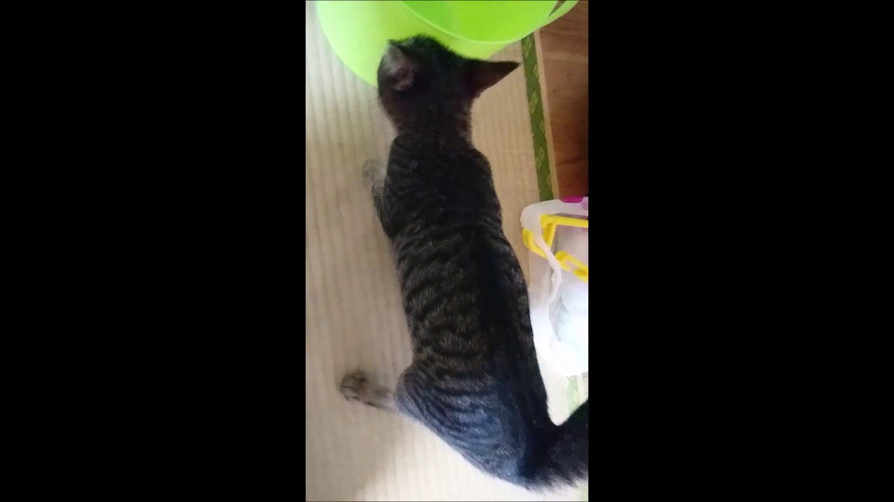 りうの「おかえり～」