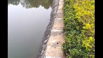 4 million views! adventure in KMP Park-Durgapur