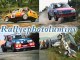 Rallye Best of 2011 crash and mistakes rally sortie de route