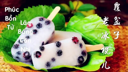 [Lý Tử Thất TV] - Lão Nguyệt Bính & Kem Phúc Bồn Tử - Vietsub