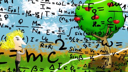 What really happened in a book - newton funny animation