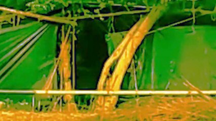 Haunting Ghost In The Tent House!! Ghost Caught On Camera!!