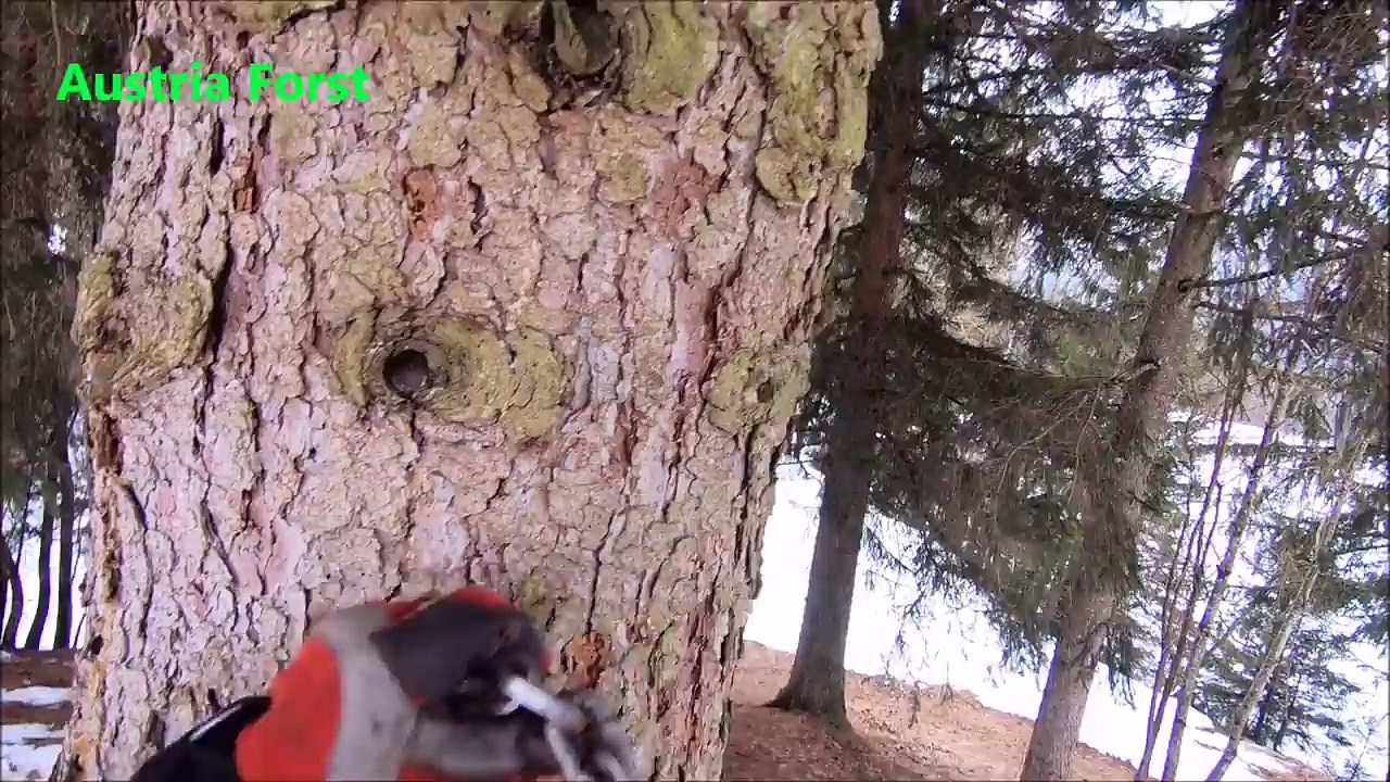 Und schon muss ich wieder eine Runde Zahlen…   Fail