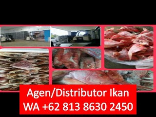 PROMO!! WA +62 813 8630 2450 Supplier Ikan Tuna Segar di Bekasi