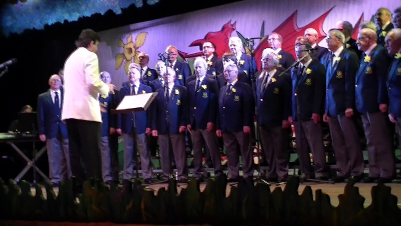 YOU RAISE ME UP ST DAVID 2010