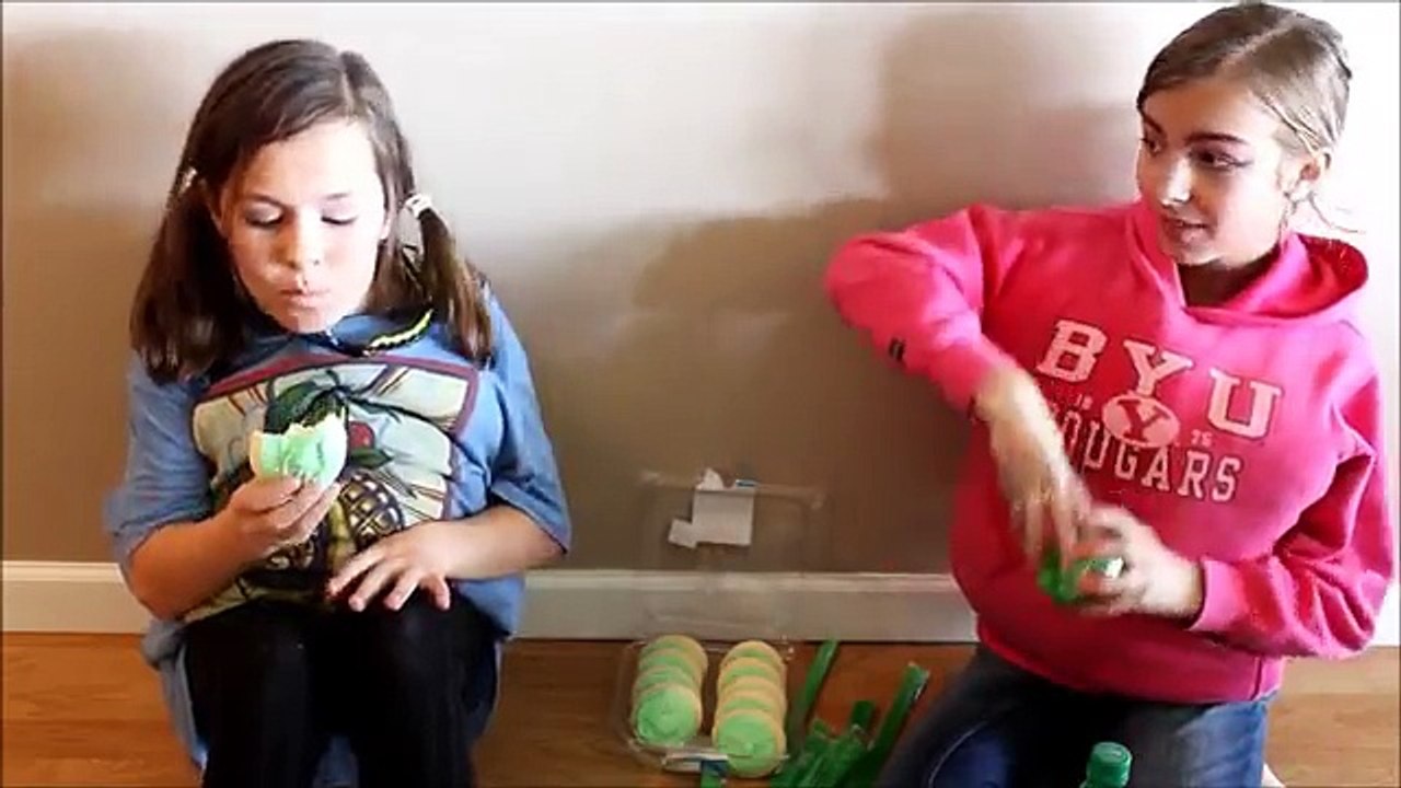 The Not So Smart Sisters!