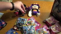 Awesome Surprise Box from TheCrazyPonyLady! Unboxing by Bins Toy Bin