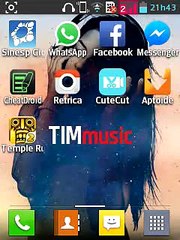 Como instalar temas no lg l1,l2,l3,l4