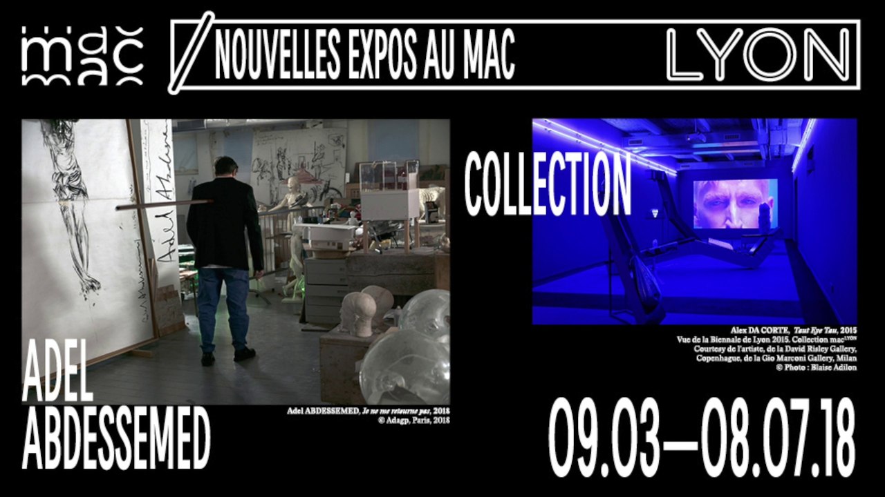 Adel Abdessemed, Collection, Maïté Marra