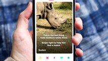 World’s last male northern white rhino dies at age 45