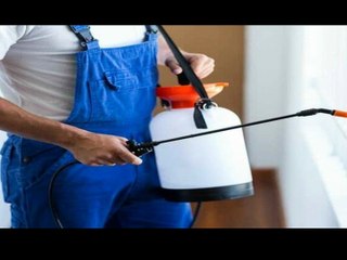 Get the best solution for rodent control in Vancouver