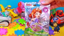Patrulha Canina Aprendendo as CORES Brinquedos Surpresas em Portugues e Ingles