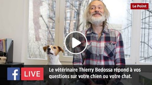 Facebook Live : le vétérinaire Thierry Bedossa répond à toutes vos questions concernant votre chien ou votre chat !