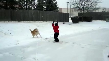 Dont do it boy | try not to laugh