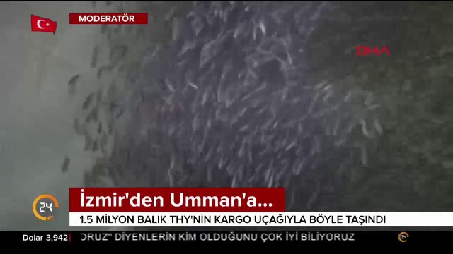 Balıklar kazanç kapısı oldu