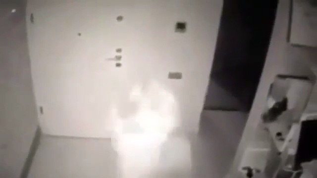 Kediciğin, nasıl kaçtığını anlattığı ses kaydı ortaya çıktı