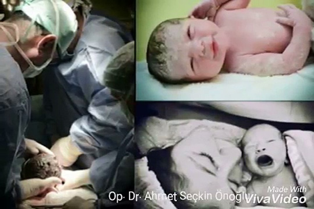 Dr.ahmett seckin onoglu